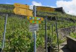 Wegweiser Rivaz: ViaFrancigena, Alpenpanoraweg,
                    Terrasses de Lavaux