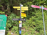 Wegweiser beim Wildnispark Sihlwald, April 2026
