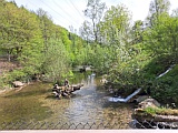 Weiher beim Naturschutzzentrum Sihlwald