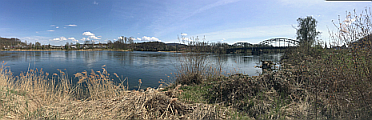 Zusammenfluss Rhein - Aare. Foto Stamm